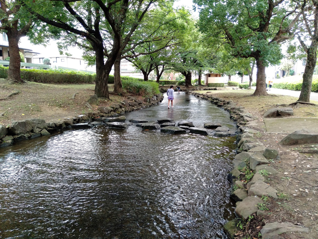 小川/東大宮親水公園(埼玉県/さいたま市)