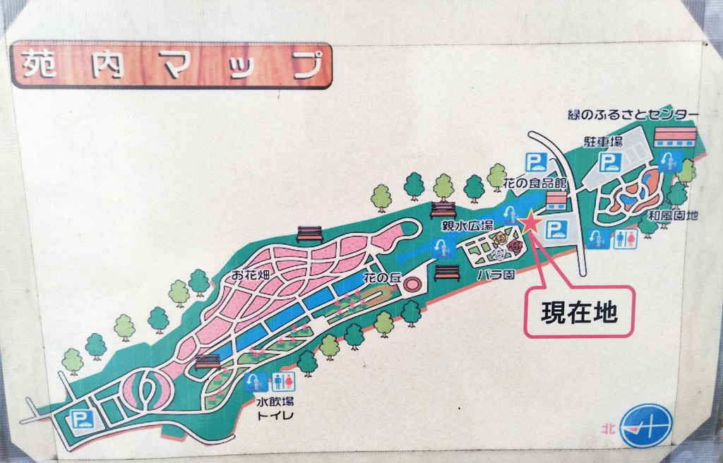 大宮花の丘農林公苑の苑内マップ（埼玉県/さいたま市）