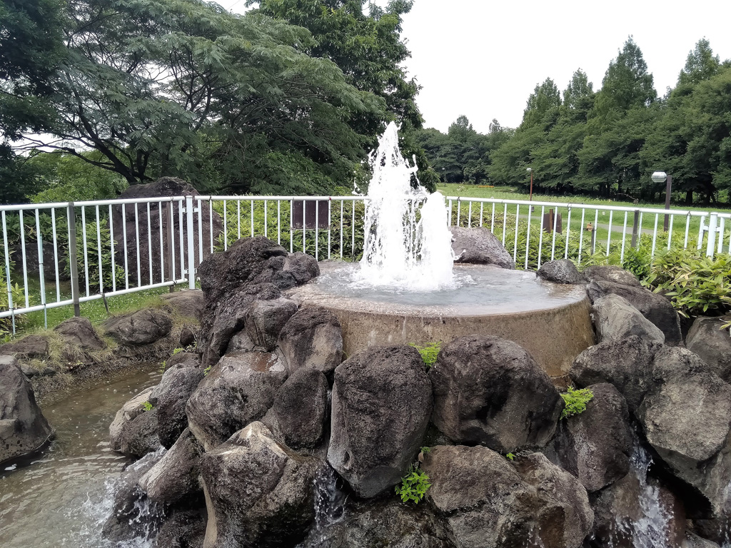 水の流れの出発点／大宮花の丘農林公苑（埼玉県/さいたま市）