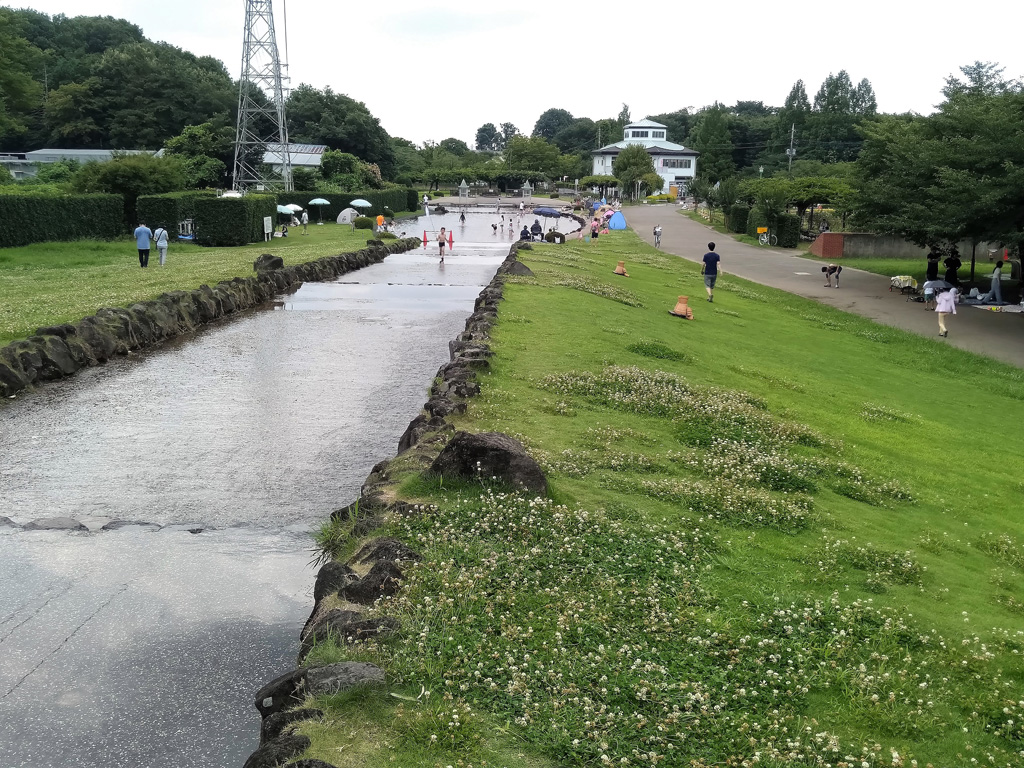水辺に緑の芝が広がる幅広水路／大宮花の丘農林公苑（埼玉県/さいたま市）