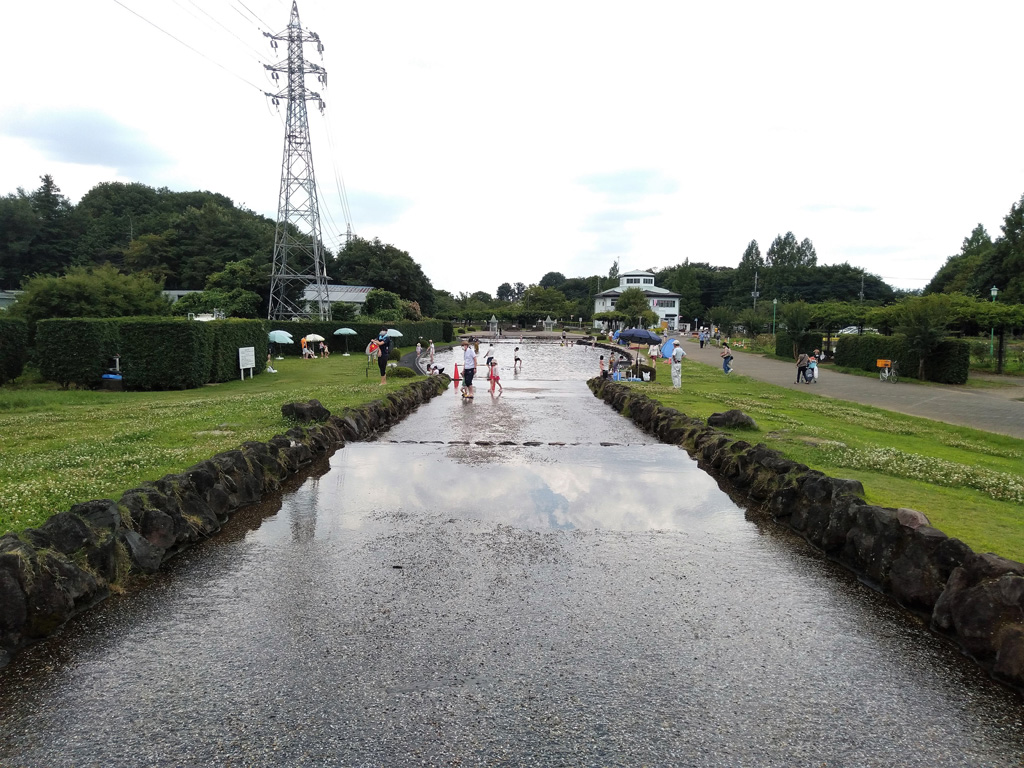 水辺に緑の芝が広がる幅広水路／大宮花の丘農林公苑（埼玉県/さいたま市）