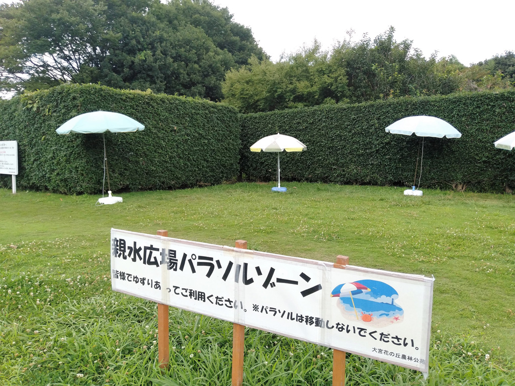 親水広場のパラソルゾーン／大宮花の丘農林公苑（埼玉県/さいたま市）