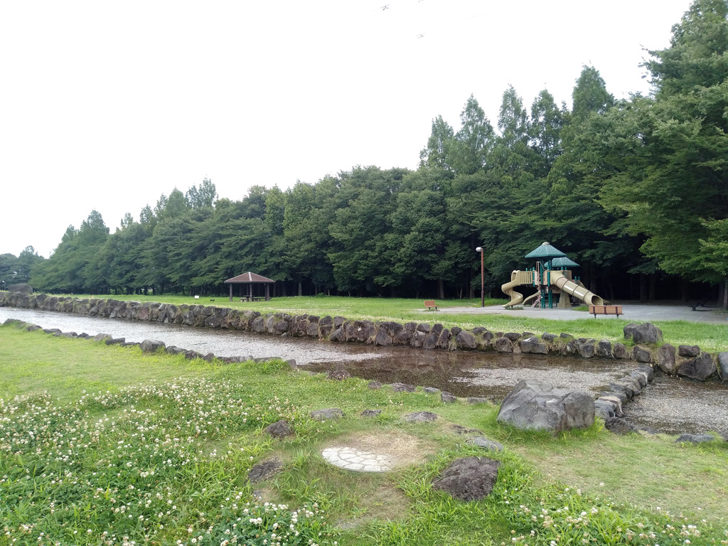 苑内唯一ともいえる遊具／大宮花の丘農林公苑（埼玉県/さいたま市）