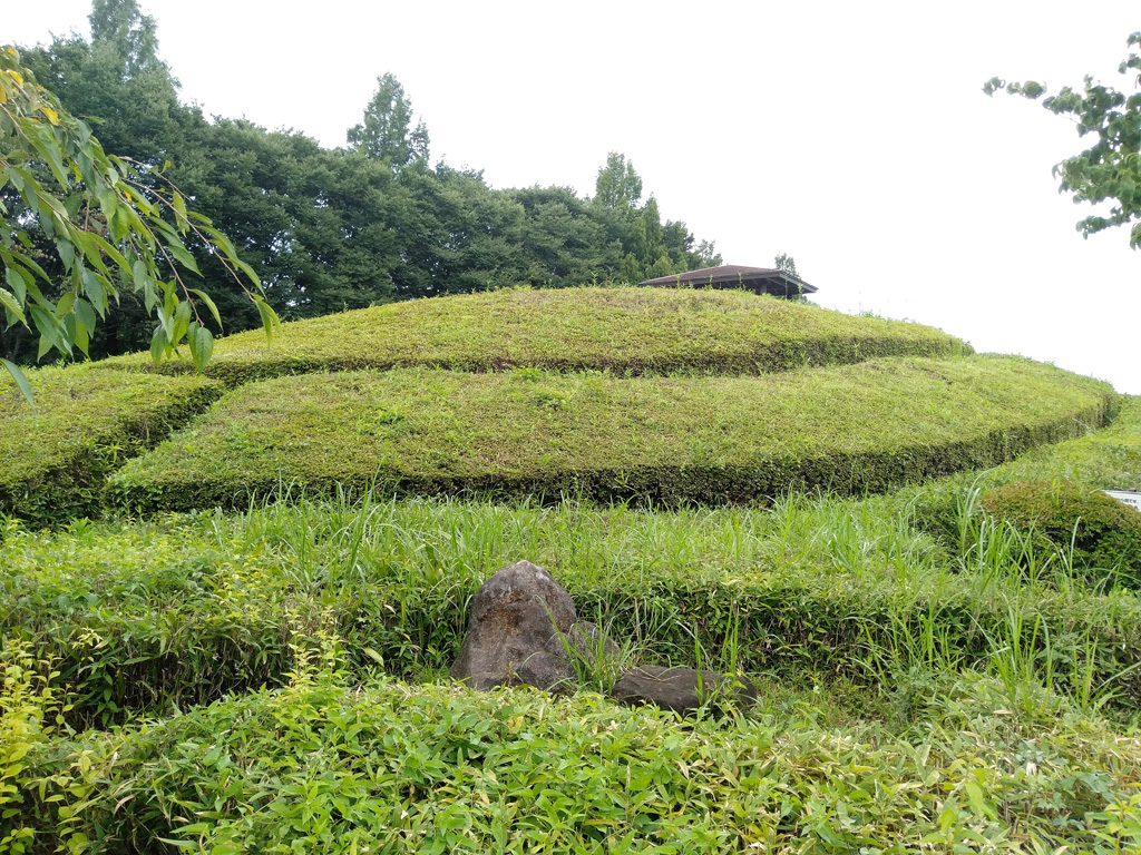 迷路のように植栽された丘／大宮花の丘農林公苑（埼玉県/さいたま市）