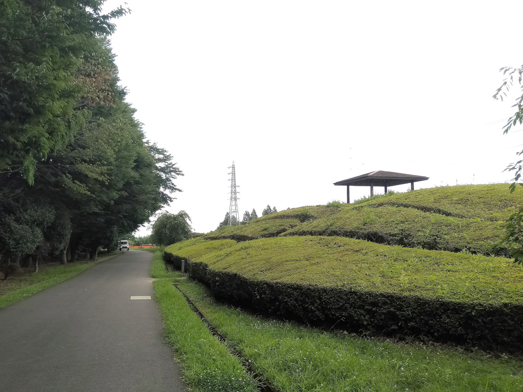 迷路のように植栽された丘／大宮花の丘農林公苑（埼玉県/さいたま市）