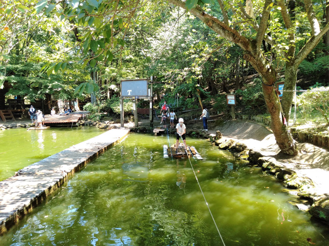 連なる浮島を渡る「関所くぐり」／ありのみコース（千葉県/市川市）