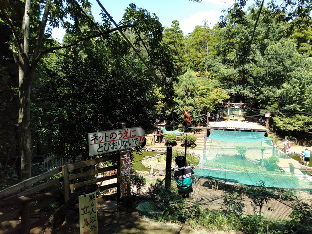 全長60mの「スカイライダー」／ありのみコース（千葉県/市川市）