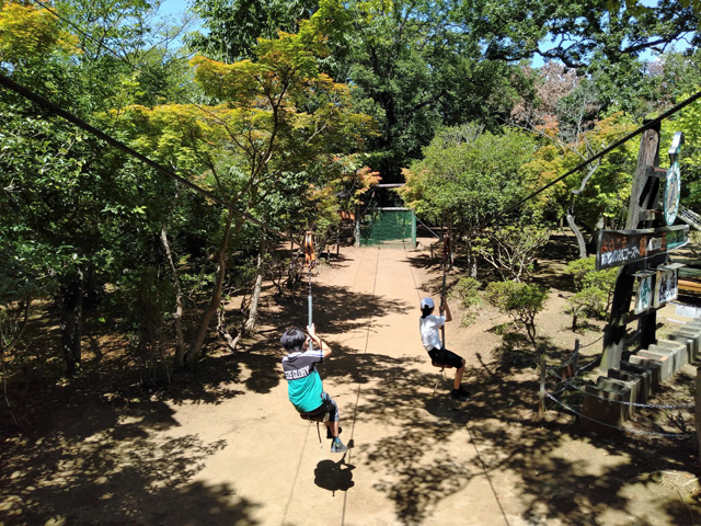 ターザンロープ／ありのみコース（千葉県/市川市）