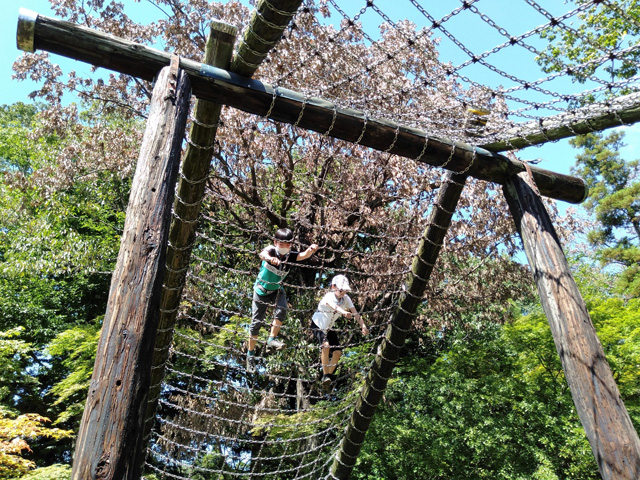 ネット登り／ありのみコース（千葉県/市川市）