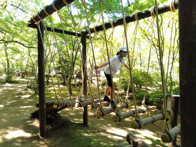 バランスを取るのが難しい「トンボの背わたり」／ありのみコース（千葉県/市川市）