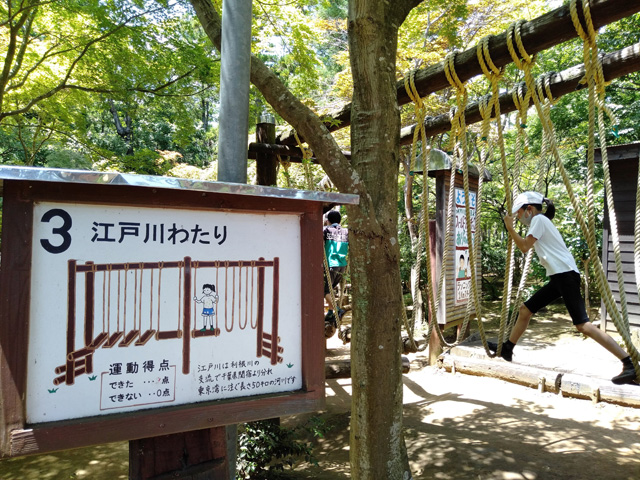 不安定でグラグラ揺れる「江戸川わたり」／ありのみコース（千葉県/市川市）