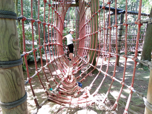 狭いネットのトンネルを進んで行く「密接わたり」／ありのみコース（千葉県/市川市）