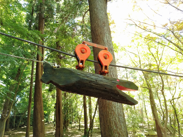 「オオカミ疾走」／ありのみコース（千葉県/市川市）