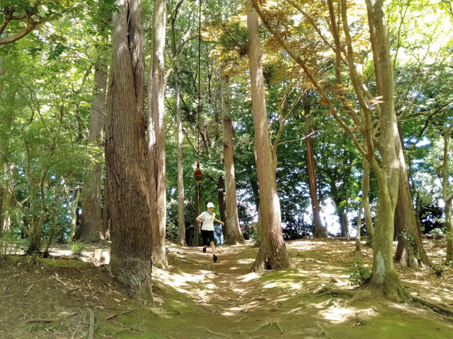 「オオカミ疾走」／ありのみコース（千葉県/市川市）