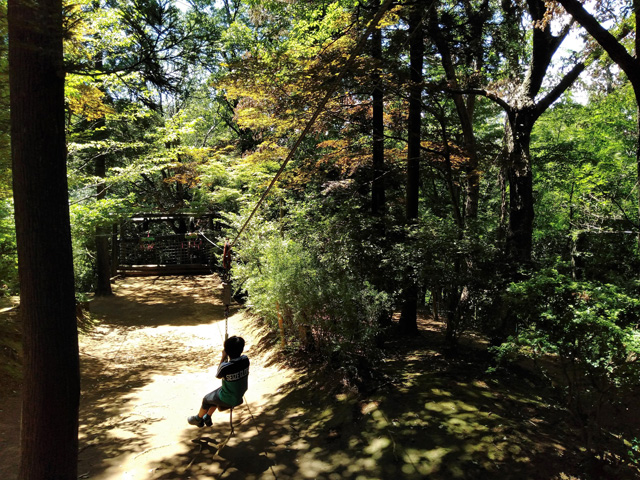 ターザンロープ／ありのみコース（千葉県/市川市）