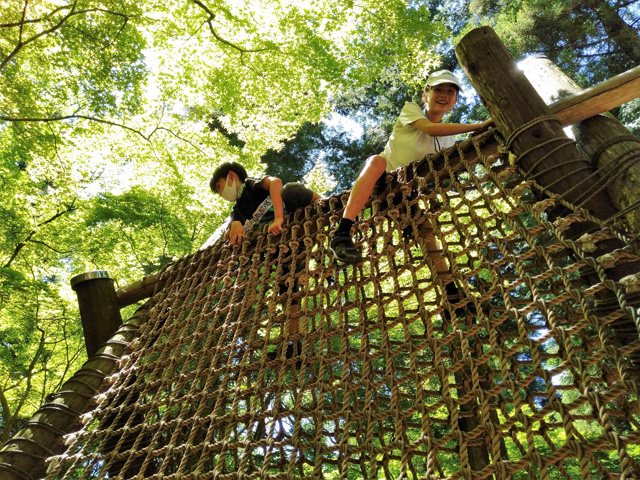 ネットの山「大小・屋根移り」／ありのみコース（千葉県/市川市）