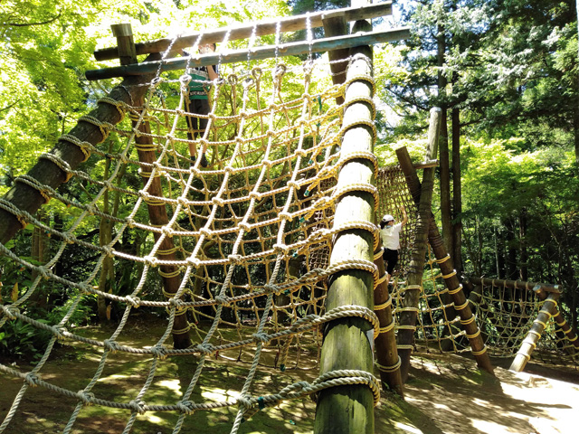 ネットの山「大小・屋根移り」／ありのみコース（千葉県/市川市）