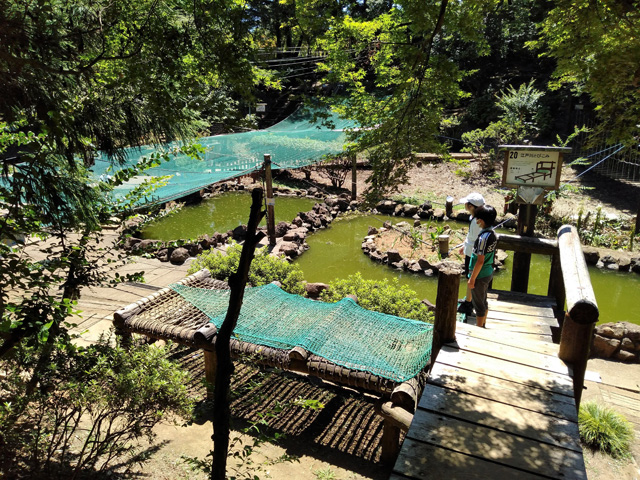 「江戸川とびこみ」／ありのみコース（千葉県/市川市）