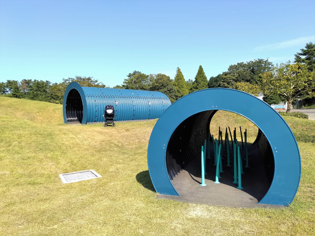 秘密の仕掛けがある青いトンネル「ブラックホール」/国営ひたち海浜公園(茨城県/ひたちなか市)