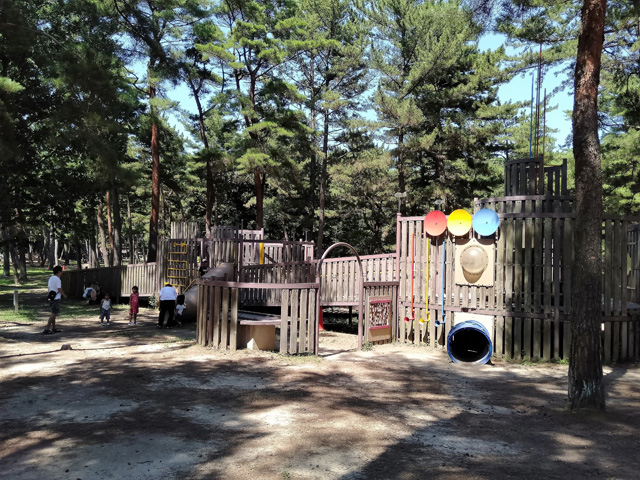 「林間アスレチック広場」/国営ひたち海浜公園(茨城県/ひたちなか市)