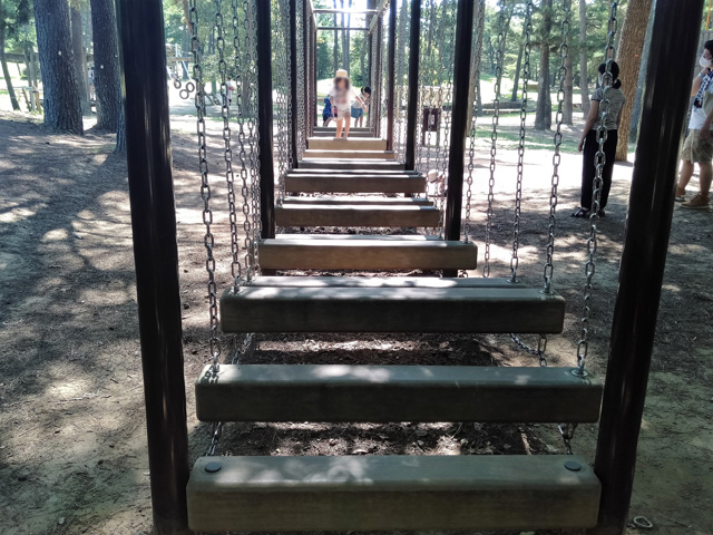 「林間アスレチック広場」/国営ひたち海浜公園(茨城県/ひたちなか市)