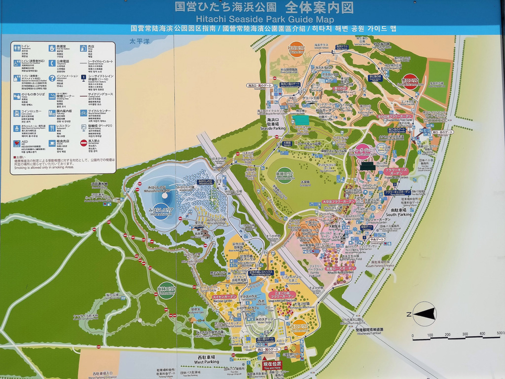 全体案内図/国営ひたち海浜公園(茨城県/ひたちなか市)