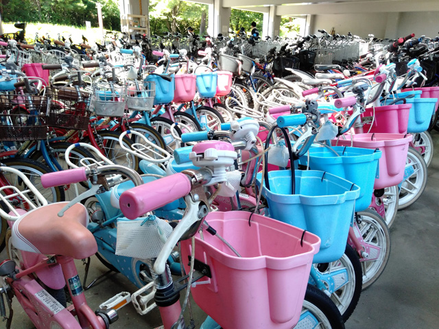 レンタルサイクル/国営ひたち海浜公園(茨城県/ひたちなか市)