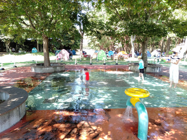 水深約15㎝のジャブジャブ池エリア(噴水広場含む)/国営ひたち海浜公園(茨城県/ひたちなか市)