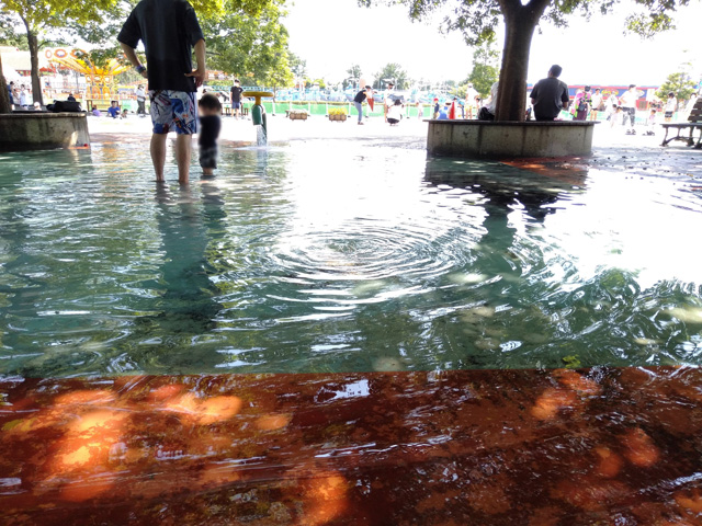 水深約15㎝のジャブジャブ池エリア(噴水広場含む)/国営ひたち海浜公園(茨城県/ひたちなか市)