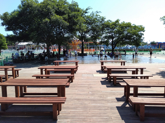 水深約25㎝の児童用の「ジャブジャブ池」/国営ひたち海浜公園(茨城県/ひたちなか市)