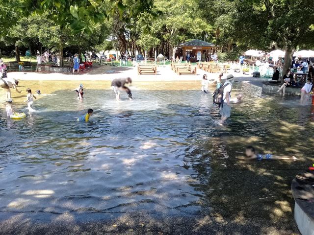 ベンチやテーブルなども設けられている/国営ひたち海浜公園(茨城県/ひたちなか市)