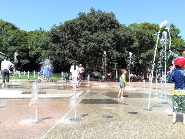 星のデザインの「噴水広場」/国営ひたち海浜公園(茨城県/ひたちなか市)