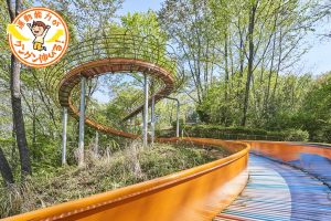 殿入中央公園(八王子市)の、全長105メートルのながーいローラースライダーに大興奮!