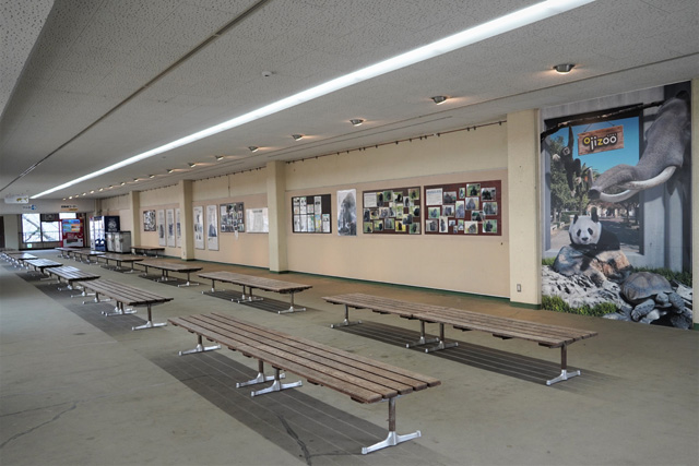 壁の展示／神戸市立王子動物園（兵庫県/神戸市）