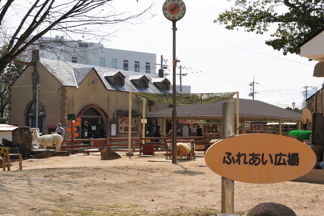 ふれあい広場／神戸市立王子動物園（兵庫県/神戸市）