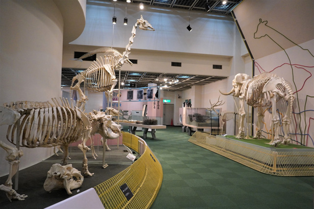動物科学資料館／神戸市立王子動物園（兵庫県/神戸市）