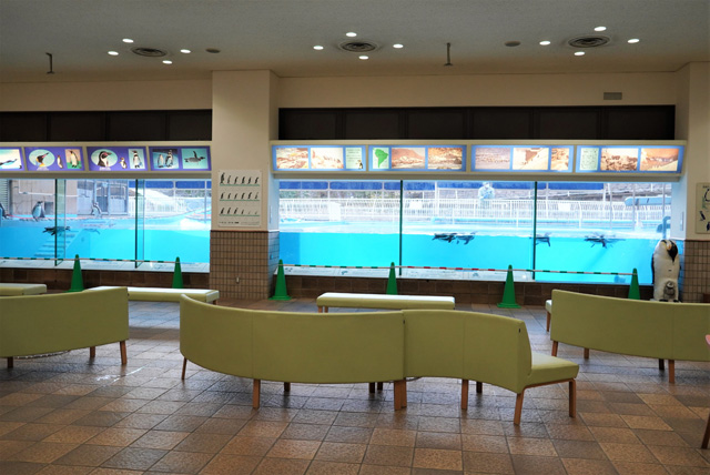 目の前で泳ぐペンギンが見られる休憩ホール／神戸市立王子動物園（兵庫県/神戸市）