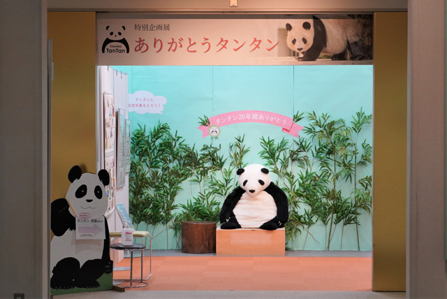特別企画「ありがとうタンタン展」／神戸市立王子動物園（兵庫県/神戸市）