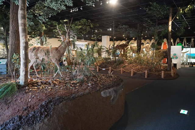 姫路の里山を模して作ったジオラマ/姫路科学館(兵庫県/姫路市)