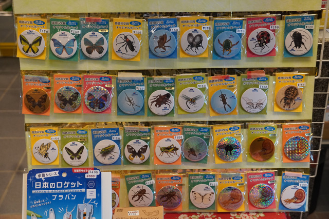 オリジナル缶バッジ/姫路科学館(兵庫県/姫路市)