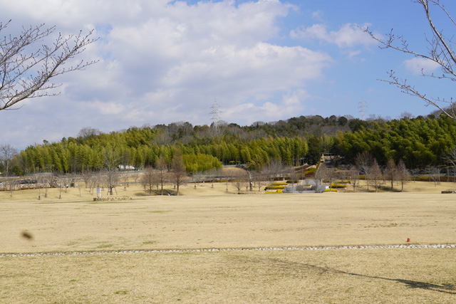 桜山公園の大芝生広場/姫路科学館(兵庫県/姫路市)
