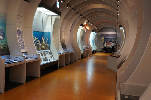 タイムトンネル/姫路科学館(兵庫県/姫路市)