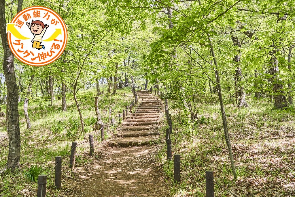 気軽にハイキングが楽しめる浅間山公園（府中市）で自然を体感しよう！