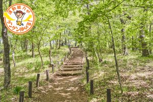 気軽にハイキングが楽しめる浅間山公園(府中市)で自然を体感しよう!