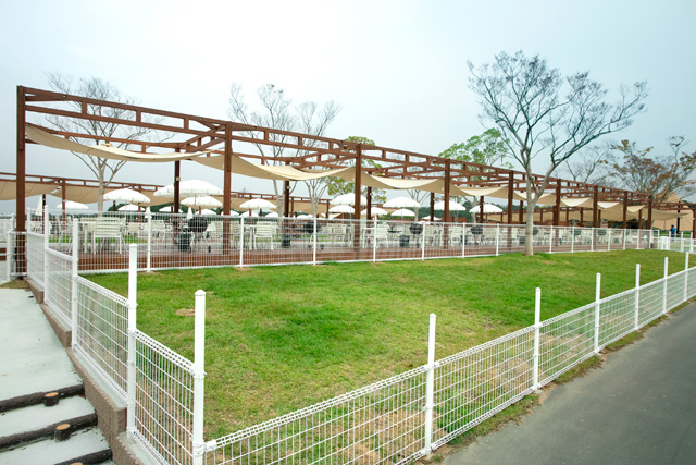 ドッグフィールド／ネスタリゾート神戸（兵庫県/三木市）