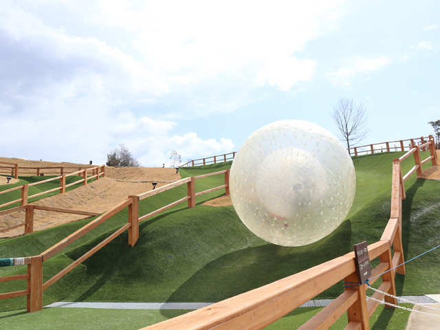 「キャニオン・ドロップ」／ネスタリゾート神戸（兵庫県/三木市）