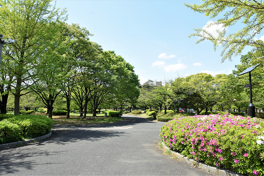 「散歩道」／猿江恩賜公園（東京都／江東区）