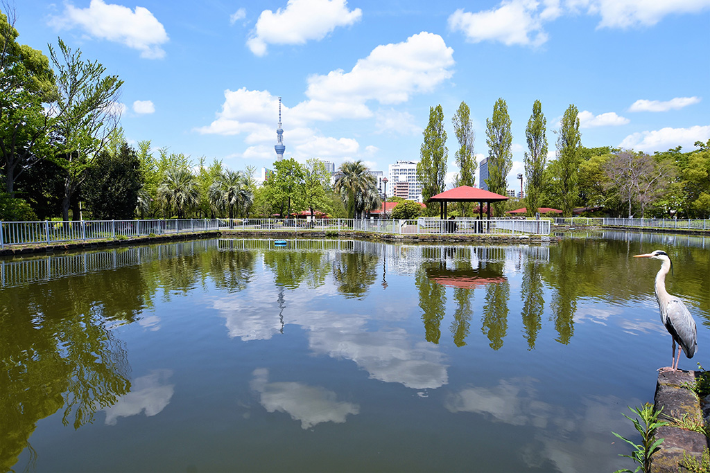 「ミニ木蔵」／猿江恩賜公園（東京都／江東区）