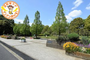 猿江恩賜公園（江東区）は複合遊具が充実した冒険広場が大人気！