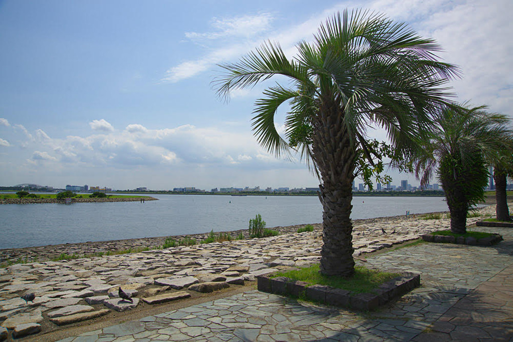 「海辺エリア」/葛西臨海公園(東京都/江戸川区)